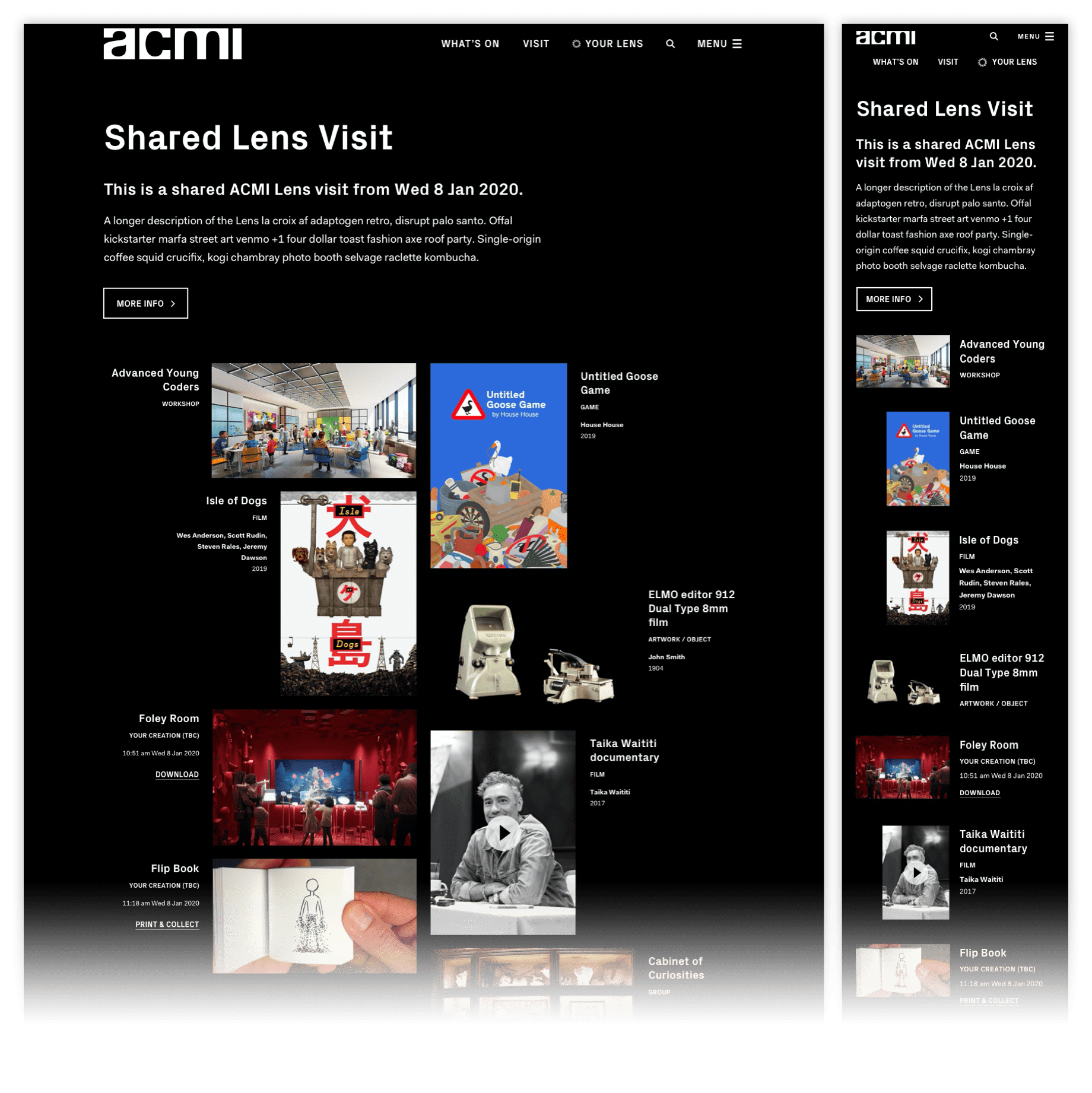 An image of the ACMI Shared Lens Visit